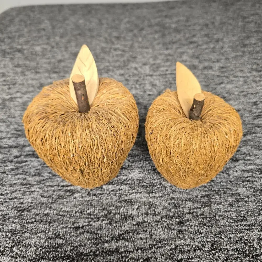 2 Rustic Decorative Apple Figurines Crafted Woven Natural Fibers & Twig Stem